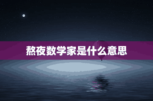 熬夜数学家是什么意思